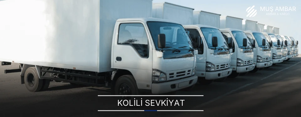 Muş Kolili Sevkiyat Ambar Firmaları