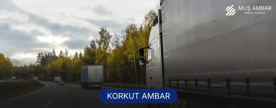 Korkut Ambar